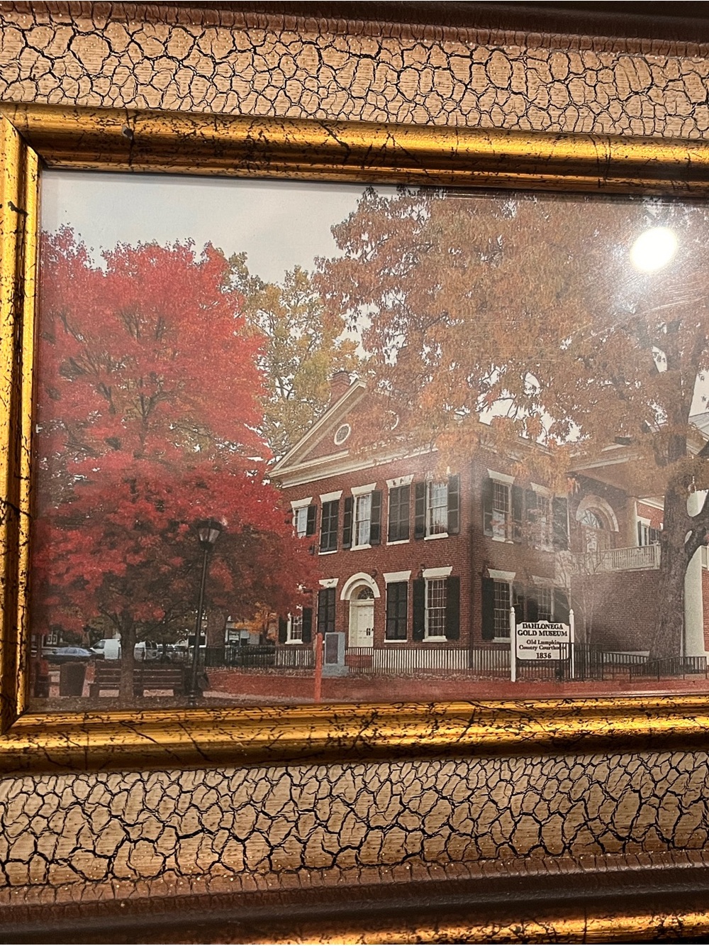 Framed Autumn Dahlonegs Gold Museum Print with Gold Crackle Frame - Picture 1 of 6